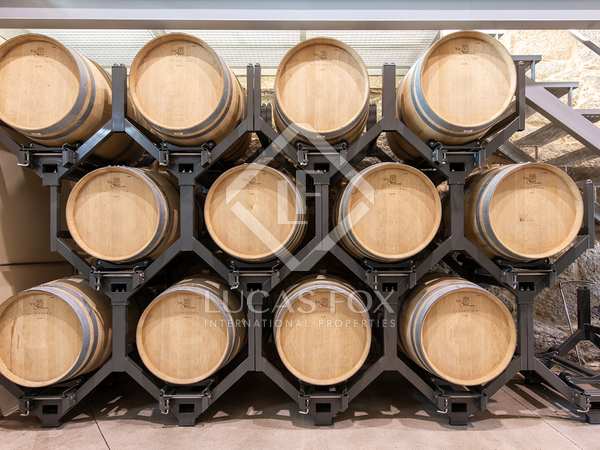 230m² vineyard for sale in Pontevedra, Galicia