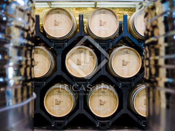 120m² vineyard for sale in Pontevedra, Galicia