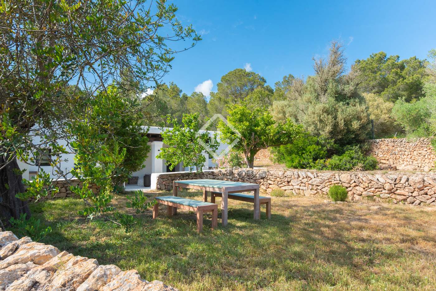 House in Sant Antoni de Portmany - Image 4